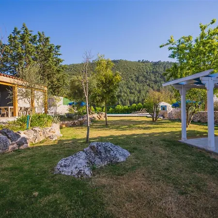 Kayakoey'de Oezel Havuzlu Otantik Tas Kaya Kinakli